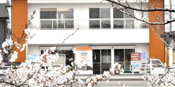 田ノ上工務店モデルハウス前の桜が満開です！