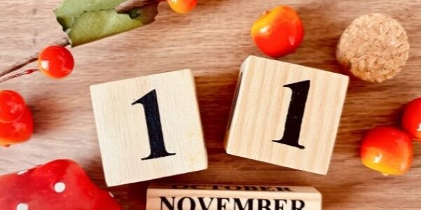 田ノ上工務店：11月のイベントをご紹介♪