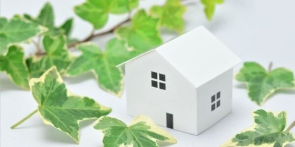 家の中がなんだかカビ臭い？においの原因と対策を紹介！