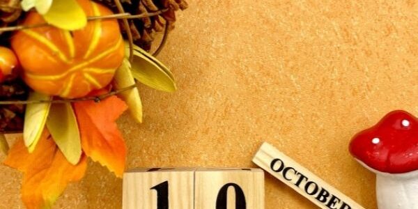 田ノ上工務店：2025年10月のイベントのご案内です♪