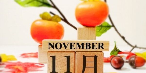 田ノ上工務店：2025年11月のイベントのご案内です♪